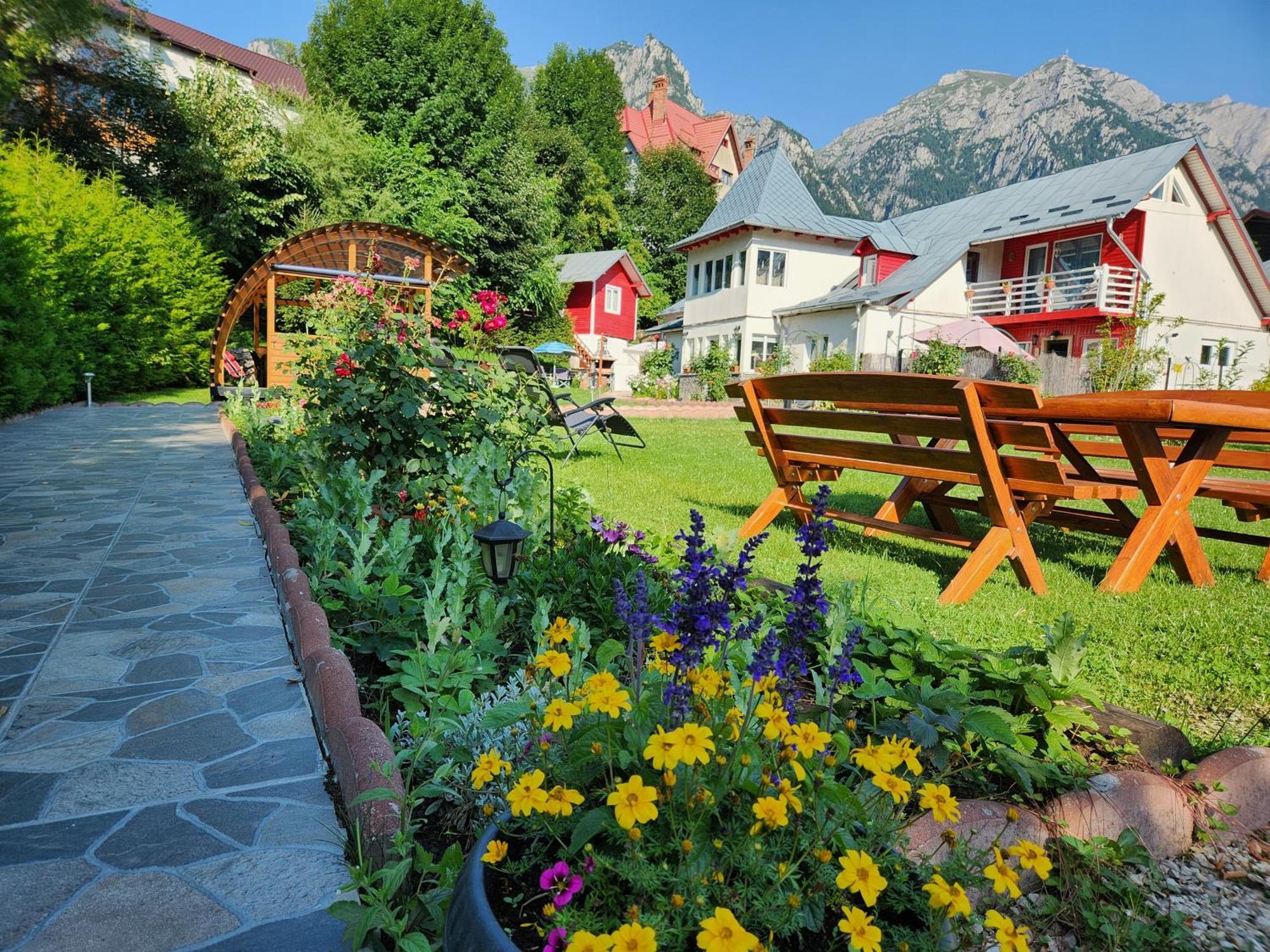 Casa Turta Dulce Hotel Busteni Exterior photo